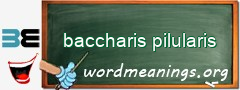 WordMeaning blackboard for baccharis pilularis